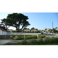 照片 法国(France) 普雷法耶(Prefailles) 普雷法耶至默勒港(Prefailles to Port Meuleu) 2007-07 25