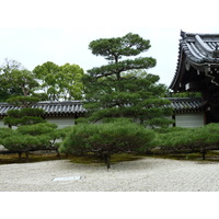 照片 日本(Japan) 京都(Kyoto) 仁和寺御殿(Ninna ji imperial Residence) 2010-06 22