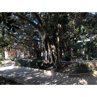 照片 意大利(Italy) 西西里岛(Sicily) 奥尔蒂贾岛(Ortigia) 2020-02 45