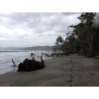 照片 哥斯达黎加(Costa Rica) 卡维塔(Cahuita) 2015-03 146