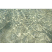 照片 塞舌尔(Seychelles) 马埃岛(Mahe) 2011-10 64