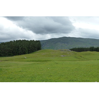 照片 英国(United Kingdom) 苏格兰(Scotland) 福里斯至阿维莫尔公路(Forres to Aviemore road) 2011-07 6