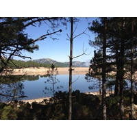 照片 法国(France) 科西嘉岛(Corsica) 奥斯佩达莱森林(L'ospedale Forest) 2012-09 40