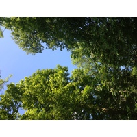 照片 法国(France) 皮埃尔丰(Pierrefonds) 2014-05 88