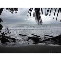 照片 哥斯达黎加(Costa Rica) 卡维塔(Cahuita) 2015-03 82