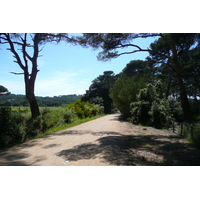 照片 法国(France) 波克罗勒岛(Porquerolles Island) 库尔塔德平原(Plaine de la courtade) 2008-05 16