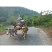 照片 缅甸(Myanmar) 土瓦至茂马干海滩公路(Road from Dawei to Maungmagan beach) 2005-01 37