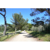 照片 法国(France) 波克罗勒岛(Porquerolles Island) 库尔塔德平原(Plaine de la courtade) 2008-05 3