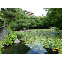 照片 日本(Japan) 京都(Kyoto) 涉成园(Shosei en Garden) 2010-06 68