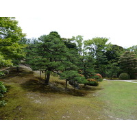 照片 日本(Japan) 京都(Kyoto) 二条城(Nijo Castle) 本丸御殿(Honmaru Palace) 2010-06 24