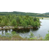 照片 英国(United Kingdom) 苏格兰(Scotland) 阿维莫尔至拉甘湖公路(Aviemore to Loch Laggan road) 2011-07 20