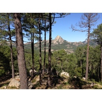 照片 法国(France) 科西嘉岛(Corsica) 奥斯佩达莱森林(L'ospedale Forest) 2012-09 32