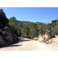 照片 法国(France) 科西嘉岛(Corsica) 奥斯佩达莱森林(L'ospedale Forest) 2012-09 18