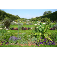 照片 法国(France) 巴黎(Paris) 巴黎植物园(Jardin des Plantes) 2007-08 227