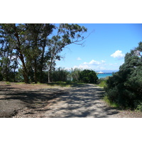 照片 法国(France) 波克罗勒岛(Porquerolles Island) 库尔塔德平原(Plaine de la courtade) 2008-05 39