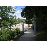 照片 法国(France) 科隆布(Colombes) 马朗特岛(L'ile Marrante) 2007-07 32