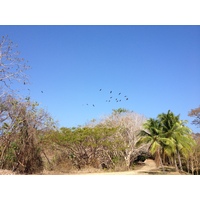 照片 巴拿马(Panama) 孔塔多拉岛(Contadora Island) 2015-03 135