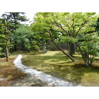 照片 日本(Japan) 京都(Kyoto) 二条城(Nijo Castle) 本丸御殿(Honmaru Palace) 2010-06 10