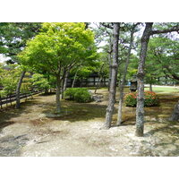 照片 日本(Japan) 京都(Kyoto) 二条城(Nijo Castle) 本丸御殿(Honmaru Palace) 2010-06 15