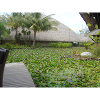 照片 波利尼西亚(Polynesia) 波拉波拉艾美酒店(Meridien Bora Bora Hotel) 2006-04 147