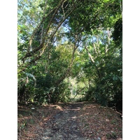 照片 哥斯达黎加(Costa Rica) 曼努埃尔安东尼奥(Manuel Antonio) 2015-03 129