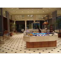 照片 哈萨克斯坦(Kazakhstan) 阿拉木图(Almaty) 阿拉木图洲际酒店(Intercontinental Almaty Hotel) 2007-03 65