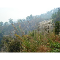 照片 泰国(Thailand) 邦玛帕至拜县公路(Pang Mapha to Pai road) 2007-02 66