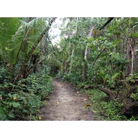 照片 哥斯达黎加(Costa Rica) 卡维塔(Cahuita) 2015-03 28