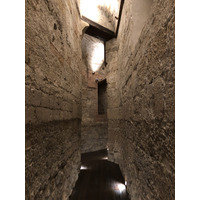 照片 意大利(Italy) 西西里岛(Sicily) 巴勒莫(Palermo) 诺曼王宫(Palazzo dei Normanni) 2020-02 8