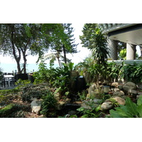 照片 泰国(Thailand) 芭提雅(Pattaya) 金崖(Golden cliff) 2011-02 17