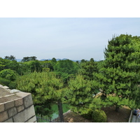照片 日本(Japan) 京都(Kyoto) 二条城(Nijo Castle) 本丸御殿(Honmaru Palace) 2010-06 14