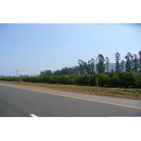 照片 南非(South Africa) 内尔斯普雷特至约翰内斯堡公路(Nelspruit to Johannesburg road) 2008-09 16