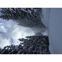 照片 法国(France) 梅杰夫(Megeve) 2016-02 72
