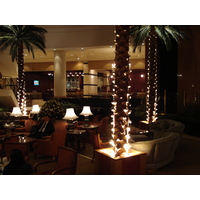 照片 哈萨克斯坦(Kazakhstan) 阿拉木图(Almaty) 阿拉木图洲际酒店(Intercontinental Almaty Hotel) 2007-03 20