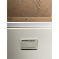 照片 意大利(Italy) 西西里岛(Sicily) 巴勒莫(Palermo) 诺曼王宫(Palazzo dei Normanni) 2020-02 223
