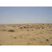 照片 阿联酋(United Arab Emirates) 阿治曼附近公路(Road near Ajman) 2005-03 8