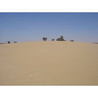 照片 阿联酋(United Arab Emirates) 阿治曼附近公路(Road near Ajman) 2005-03 9