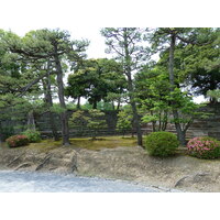 照片 日本(Japan) 京都(Kyoto) 二条城(Nijo Castle) 本丸御殿(Honmaru Palace) 2010-06 49