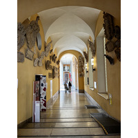 照片 意大利(Italy) 帕多瓦(Padua) 2022-05 196