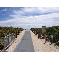 照片 美国(United States) 迈阿密海滩(Miami Beach) 2015-03 94