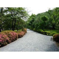照片 日本(Japan) 京都(Kyoto) 二条城(Nijo Castle) 本丸御殿(Honmaru Palace) 2010-06 48