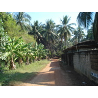 照片 泰国(Thailand) 彭世洛(Phitsanulok) 2008-01 36