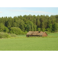 照片 瑞典(Sweden) 锡格蒂纳至乌普萨拉公路(Sigtuna to Uppsala road) 2005-06 14
