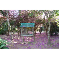 照片 泰国(Thailand) 清迈(Chiang Mai) 湄沙蛇园(Mae Sa Snake Farm) 2010-12 34