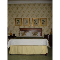 照片 英国(United Kingdom) 温布尔登(Wimbledon) 坎尼扎罗庄园酒店(Cannizaro House Hotel) 2006-10 20
