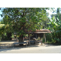 照片 泰国(Thailand) 彭世洛(Phitsanulok) 2008-01 33