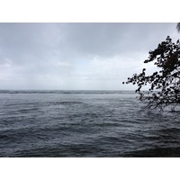 照片 哥斯达黎加(Costa Rica) 卡维塔(Cahuita) 2015-03 26