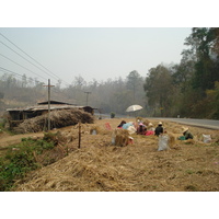 照片 泰国(Thailand) 邦玛帕至拜县公路(Pang Mapha to Pai road) 2007-02 7