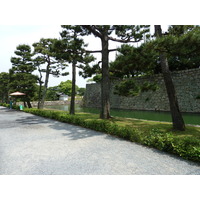照片 日本(Japan) 京都(Kyoto) 二条城(Nijo Castle) 本丸御殿(Honmaru Palace) 2010-06 19