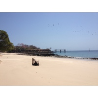 照片 巴拿马(Panama) 孔塔多拉岛(Contadora Island) 2015-03 59